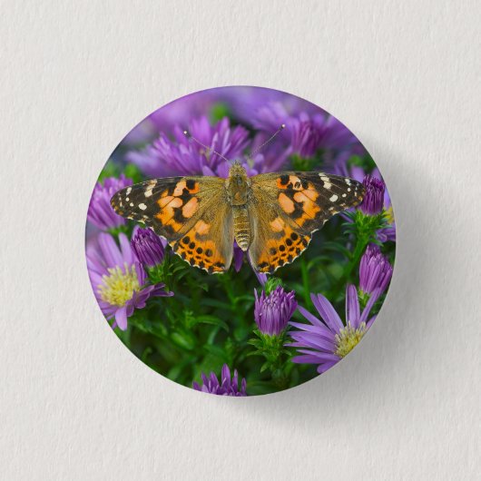 Angle Wing Butterfly auf Kon-Blume Button (Vorderseite)