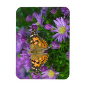 Angle Wing Butterfly auf Kon-Blume Magnet (Vertikal)