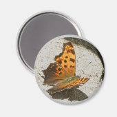 Angle Wing Comme Butterfly Magnet (Vorderseite/Rückseite)