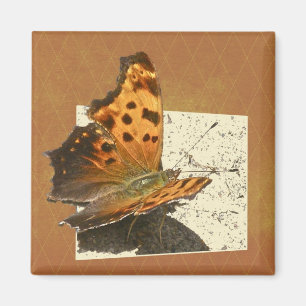 Angle Wing Comme Butterfly Serie Magnet