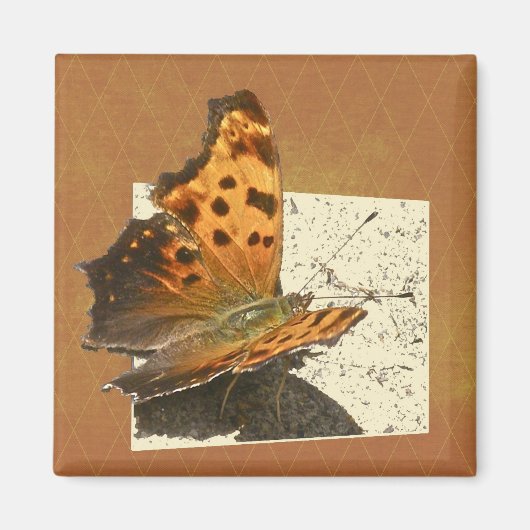 Angle Wing Comme Butterfly Serie Magnet (Vorne)