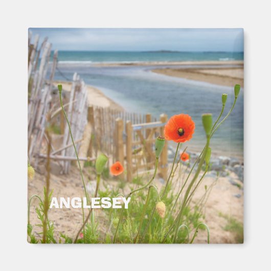 Anglesey Wales Landschaftlich View Beach and Wild  Magnet (Vorne)