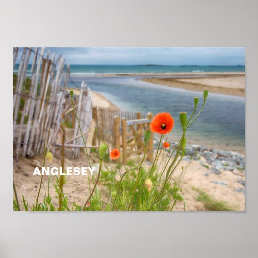 Anglesey Wales Landschaftlich View Beach and Wild Poster (Vorne)