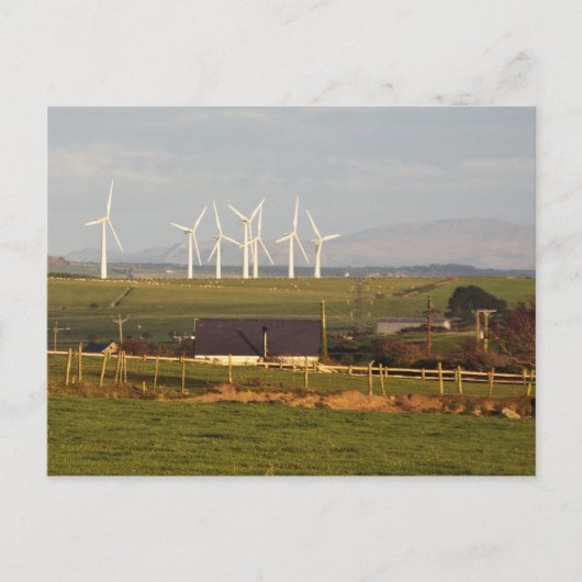 Anglesey Wind Farm Postkarte (Vorderseite)