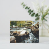 "Anglin's Creek #2" Landstraßen Postkarte (Stehend Vorderseite)