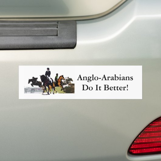 Anglo-Araber Autoaufkleber (Auf Auto)