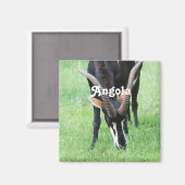 Angola Sable Antelope Magnet (Vorderseite/Rückseite)