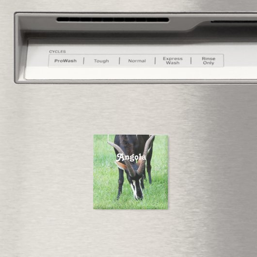Angola Sable Antelope Magnet (In Situ (Geschirrspüler))