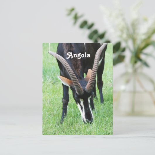 Angola Sable Antelope Postkarte (Stehend Vorderseite)