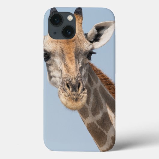 Angolan Giraffe Portrait Case-Mate iPhone Hülle (Rückseite)