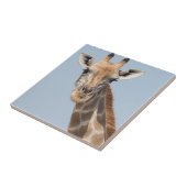 Angolan Giraffe Portrait Fliese (Seite)
