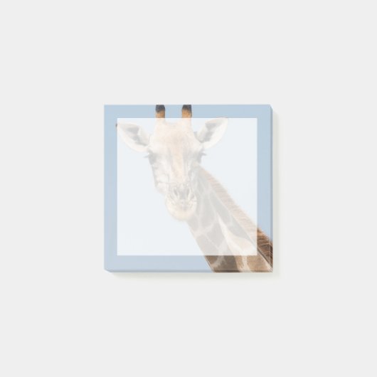 Angolan Giraffe Portrait Post-it Klebezettel (Vorderseite)