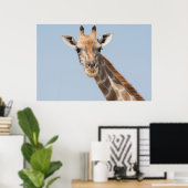 Angolan Giraffe Portrait Poster (Heimbüro)