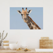 Angolan Giraffe Portrait Poster (Küche)