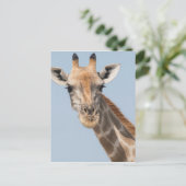 Angolan Giraffe Portrait Postkarte (Stehend Vorderseite)