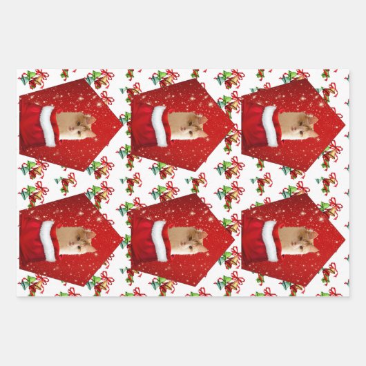 Angora Cat Christmas Geschenkpapier Set (Vorderseite 3)