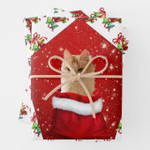 Angora Cat Christmas Geschenkpapier Set (Beispiel)