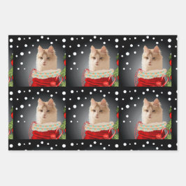 Angora Cat Holiday Geschenkpapier Set