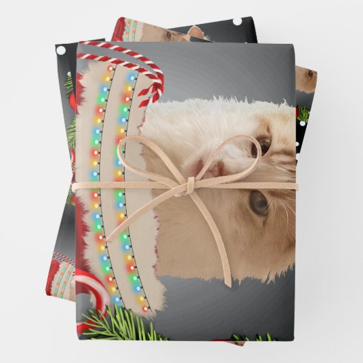 Angora Cat Holiday Geschenkpapier Set (Beispiel)