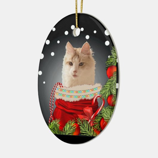 Angora Cat Keramik Ornament (Links)