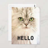 Angora Cat Postkarte (Vorne/Hinten)