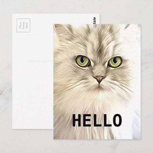 Angora Cat Postkarte (Vorne/Hinten)