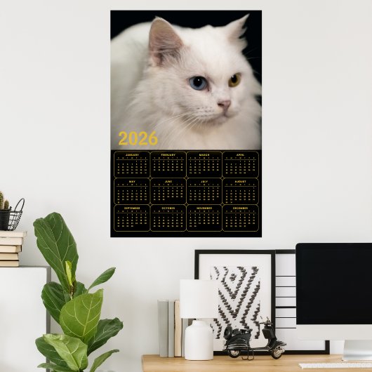 Angora Cat with Heterochromia – 2026 Calendar Poster (Heimbüro)