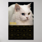 Angora Cat with Heterochromia – 2026 Calendar  Poster (Vorne)