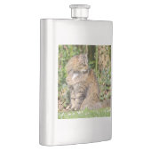 Angora-Katze Flachmann (Rechts)