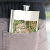 Angora-Katze Flachmann (Beispiel)