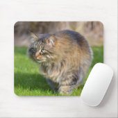 Angora-Katze Mousepad (Mit Mouse)