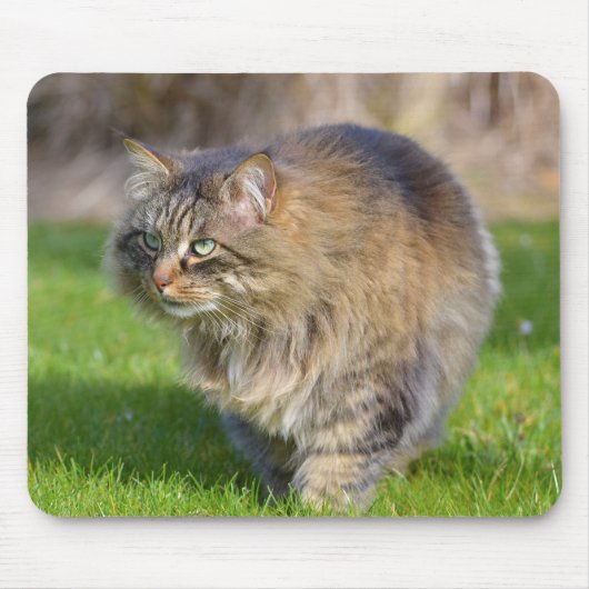 Angora-Katze Mousepad (Vorne)