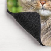 Angora-Katze Mousepad (Ecke)