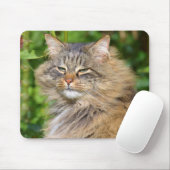 Angora-Katze Mousepad (Mit Mouse)