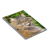 Angora-Katze Notizblock (Rechte Seite)