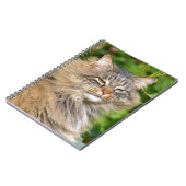 Angora-Katze Notizblock (Linke Seite)