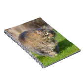 Angora-Katze Notizblock (Rechte Seite)