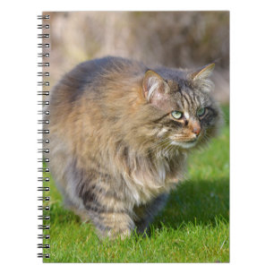 Angora-Katze Notizblock