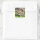 Angora-Katze Quadratischer Aufkleber (Tasche)