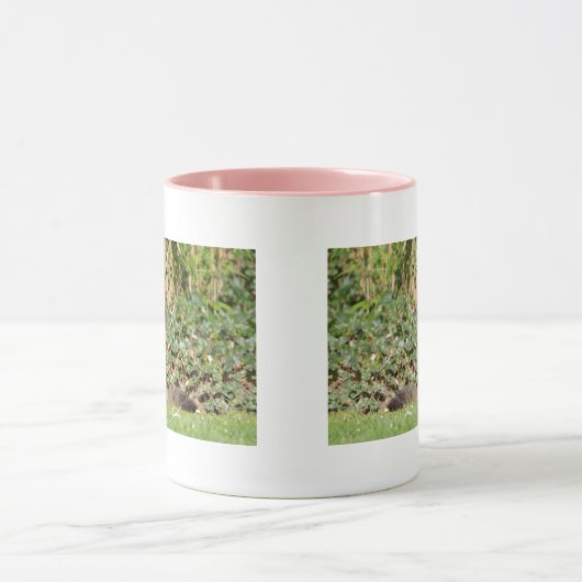 Angora-Katze Tasse (Zentrum)