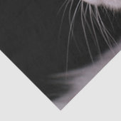 Angora-Katzenpapier Seidenpapier (Detail)