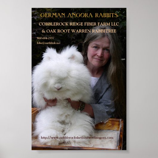 ANGORA RABBIT MAG. HINZUFÜGEN POSTER (Vorne)