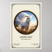 Angoraziege Zoologie Serie Poster (Vorne)