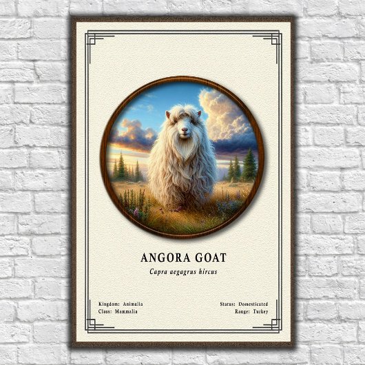 Angoraziege Zoologie-Serie Poster