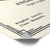 Angoraziege Zoologie-Serie Poster (Ecke)
