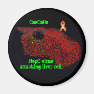 Angreifende Leberzelle HepC Virus Magnet
