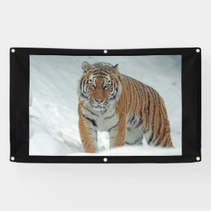 ANGRENZER-Banner Banner