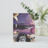 Angriff der Coolen Katzen auf der Postkarte (Stehend Vorderseite)