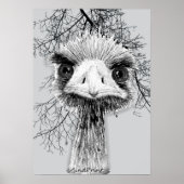 Angry Bird Poster (Vorne)