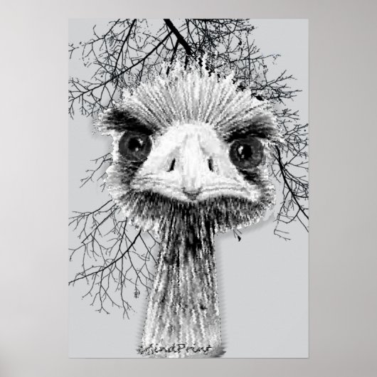 Angry Bird Poster (Vorne)